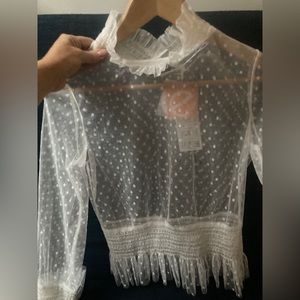 Sheer Victorian style blouse